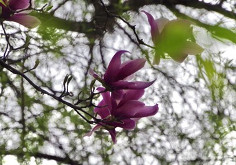 87DC477B-71B0-4EFC-AD49-939713D9BDA8/L0/001