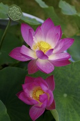 11295BBE-189A-4DBC-9016-BD17BB67AB87/L0/001