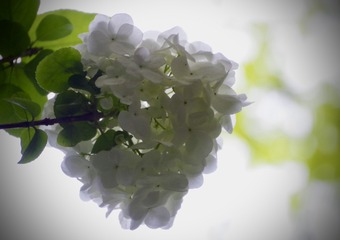 C156036D-B6E4-49CF-A6CB-31503FE95ACC/L0/001