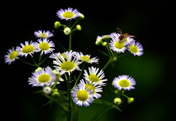 14EA992D-67B2-4106-A6AA-33B7E86EECD3/L0/001