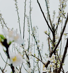 8A975451-7963-4F10-85A7-A191BAC94D0A/L0/001