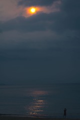 288859