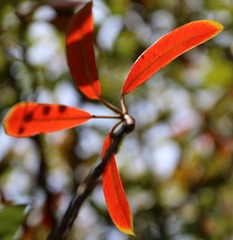C360_2016-11-05-19-06-10-301