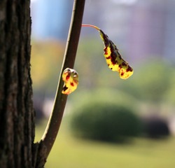 C360_2016-11-05-19-05-02-370