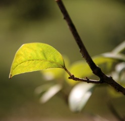 C360_2016-11-05-19-10-21-578