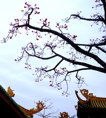 2E08AE20-D399-422C-922E-88B94B55435C/L0/001