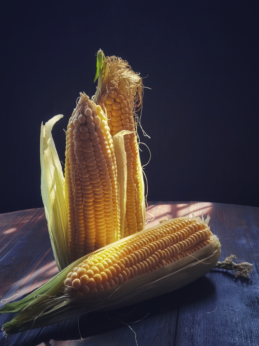 玉米
