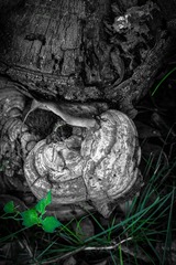 C1FDBFB4-2348-49E3-B079-2DEB00F3ED0A/L0/001
