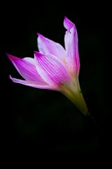 D93302E1-04BB-49AD-B34A-470F9A68985C/L0/001