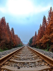 9395D4B0-F733-4C8B-80F7-0B7AA36B505D/L0/001