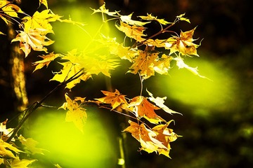 A566C81C-AFF7-4BB3-B54D-91AAAE6121E9/L0/001