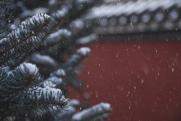 Optional("C2AD3868-2A85-4667-9F79-5F91A5347C8F/L0/001")