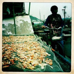 小渔村-iphone