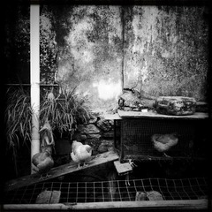 小渔村-iphone