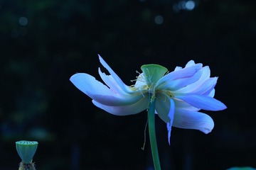 91842CFA-8BF5-4035-B85A-D5F743375212/L0/001