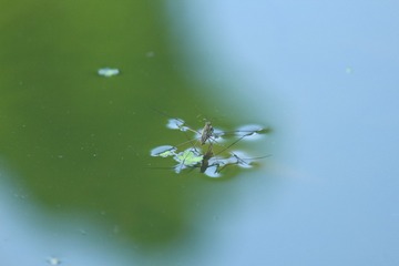 001