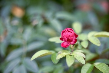 093639C0-3C84-4D03-A1A8-B9F2B3B34DF1/L0/001