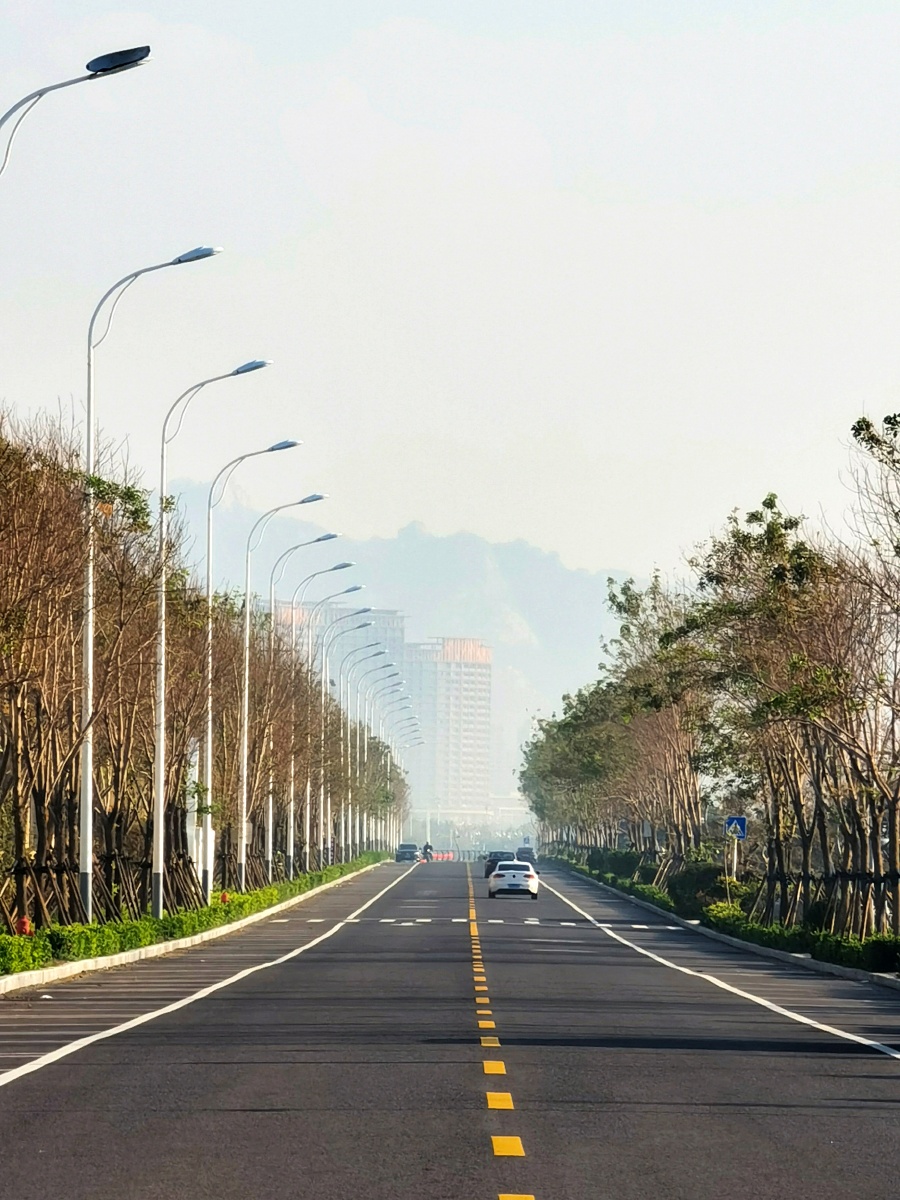 晨光大道