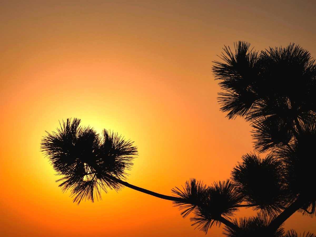 松日- 建国摄影 - 图虫