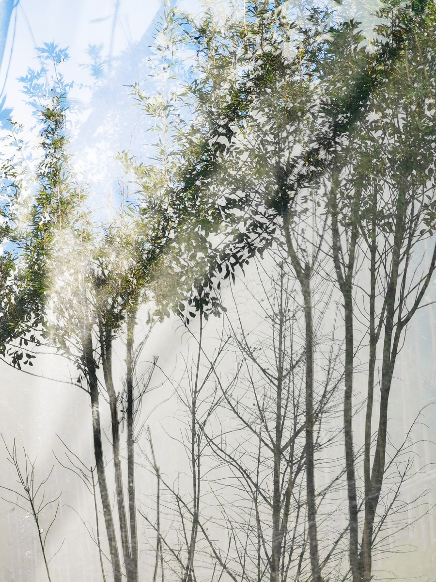 树影婆娑 - 建国摄影 - 图虫