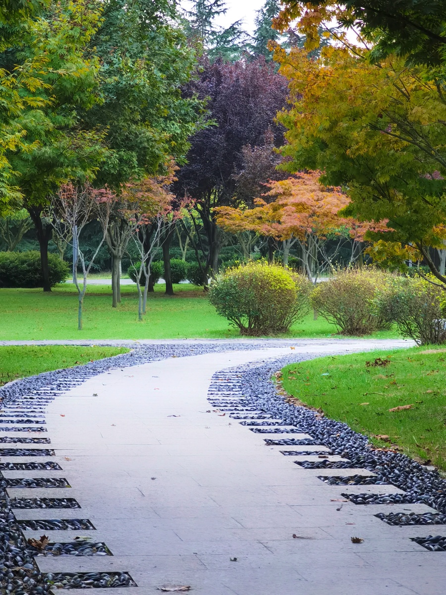 秋林- 建国摄影 - 图虫
