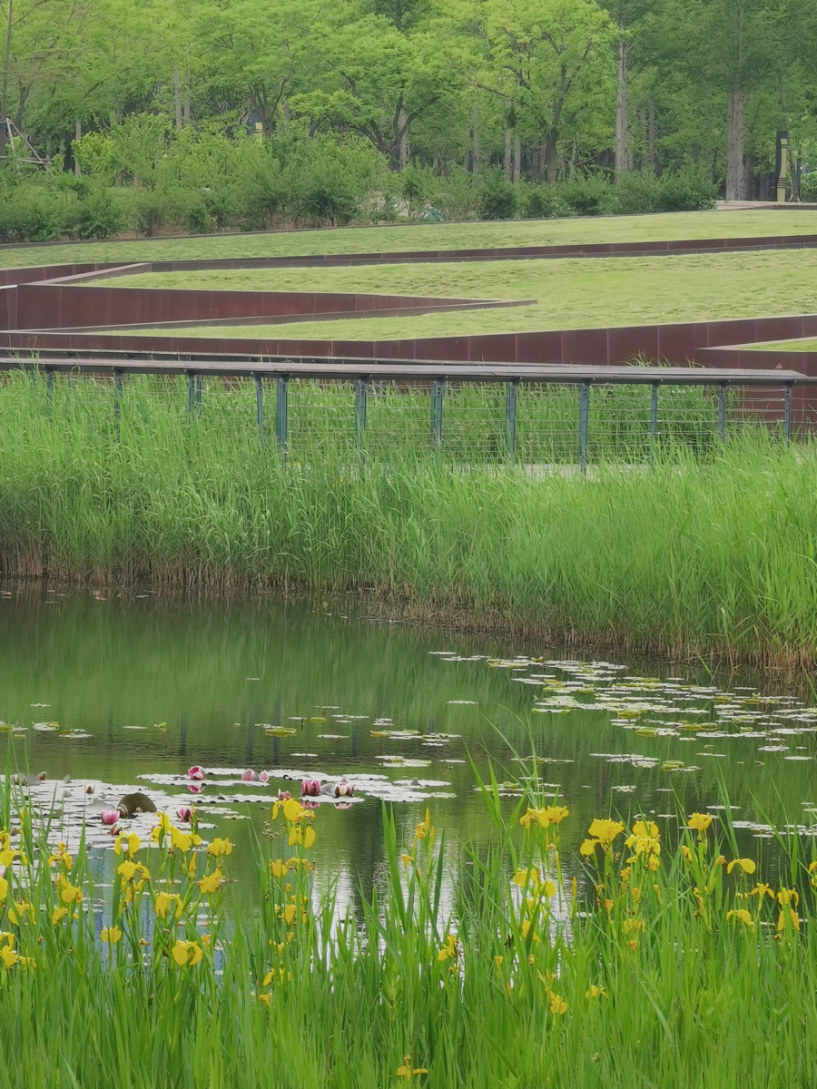 湿地公园 - 建国摄影 - 图虫