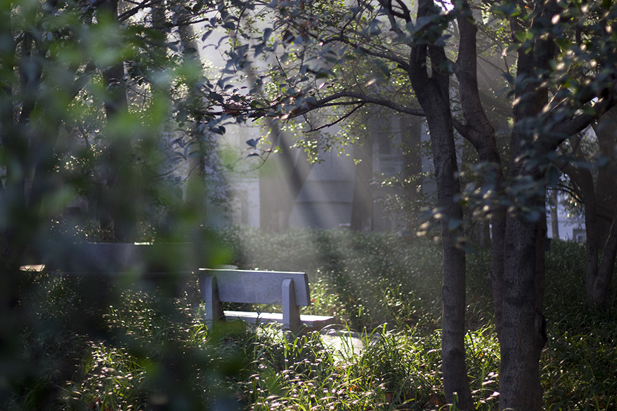 我要你在我身旁,陪我看遍这座城 - 旅行, 城市, 