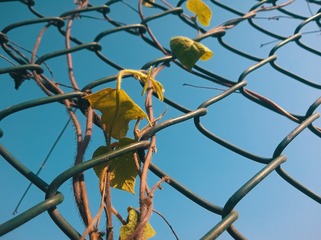 WP_20141024_14_37_28_Pro