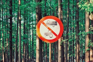 Optional(