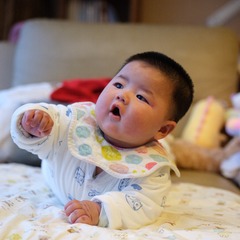 DSCF3497