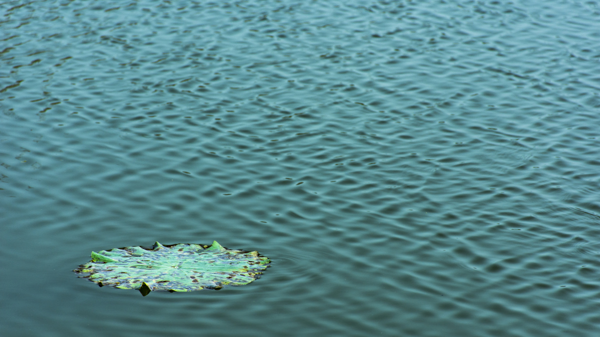 碧波涟漪 - 美丽的可可西丽 - 图虫