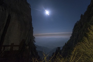 ZSY_2741