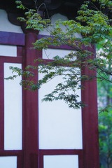 D9F9B3DB-DF55-4119-BEB4-F3A9D1524427/L0/001