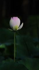 E5E07A67-6838-4933-A76F-EBCAC802BC51/L0/001