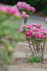 BB501F54-A244-4140-8A06-FDFA296A307E/L0/001