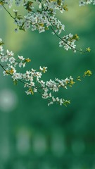 39C3A6B7-FA70-4415-B7FF-7E91BF1F5CED/L0/001