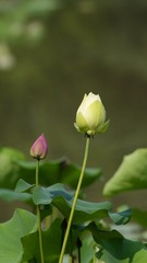 92B4F87A-DAA3-49DA-A47A-9FEC69901402/L0/001