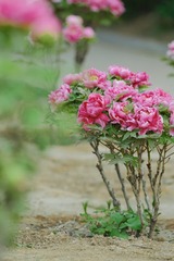 485709A5-DA13-4208-9A35-EF5518F83B46/L0/001