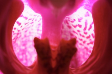 E27F6DFD-B375-498F-AA55-D00A6F126740/L0/001