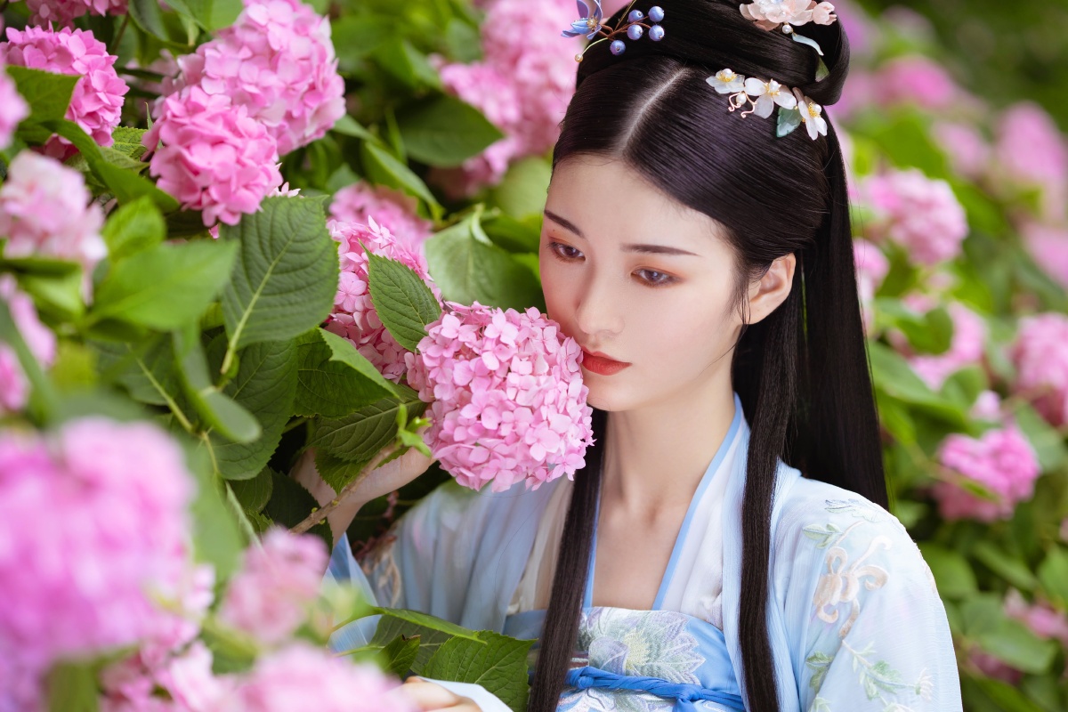 绣球花开无尽夏