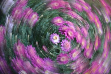 1000010475
