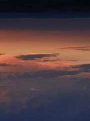 1000042013