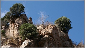 山石.jpg