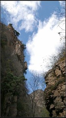 云雾石林峡.jpg