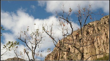 又是棉花糖.jpg