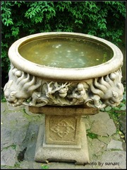 石盆.jpg