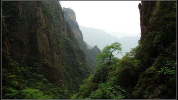 雨雾黄山