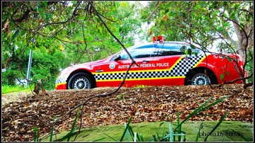 林中警车