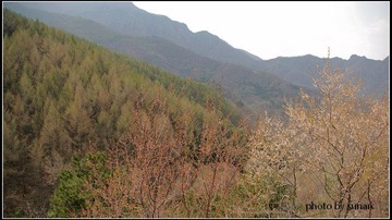 春山