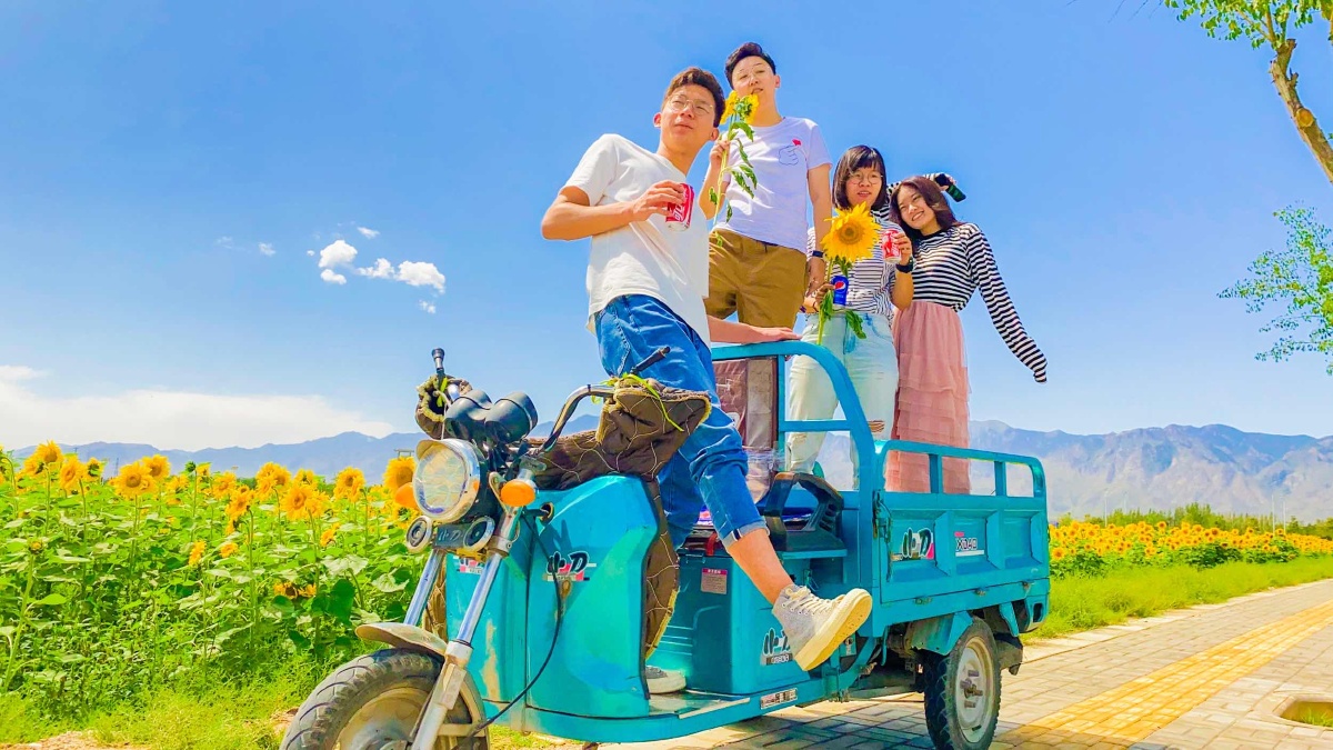 温暖阳光下的向日葵与我们美好的夏天美好的时光